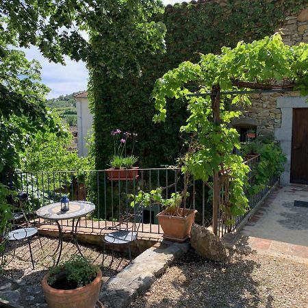 Le Fleuriste Villa Saint-Sauveur-de-Cruzière Bagian luar foto